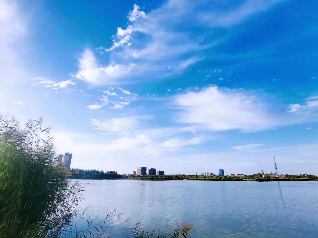 ΢��ͼƬ_20241209110845