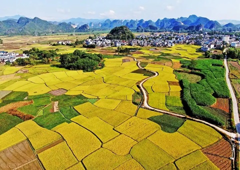 强化“指挥棒”作用&nbsp;&nbsp;金昌市发放500万元耕地；ぁ凹だ彀