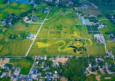 成都颁布耕地；す婊〗10年这样筑牢“天府粮仓”根基