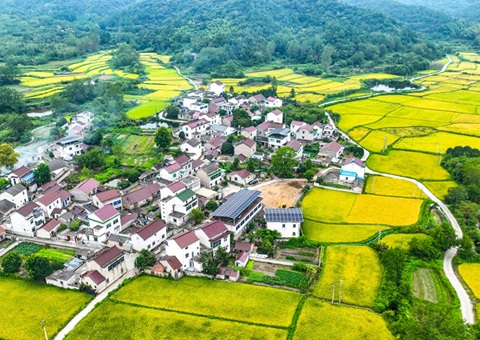 安徽省天然资源厅：130个乡镇耕地；こ删屯蛊 获赔偿激励1.3亿元