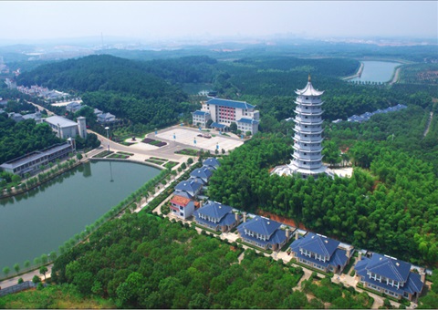 湖北：用好“一张图” ，智治有支持