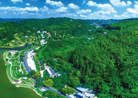 保险重大项目加快落地！成都市构建用地用林联动审查机造