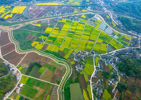 湖北省天然资源厅保险重点农业产业链高质量发展