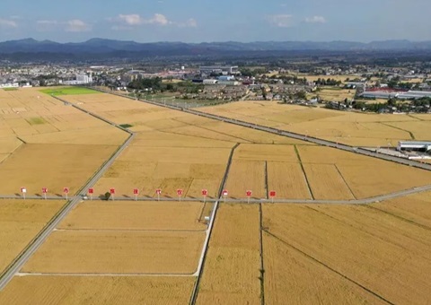 四川省首例以村落集体经济组织配套设施建设项目方式调整永远根基农田案例落地广汉市